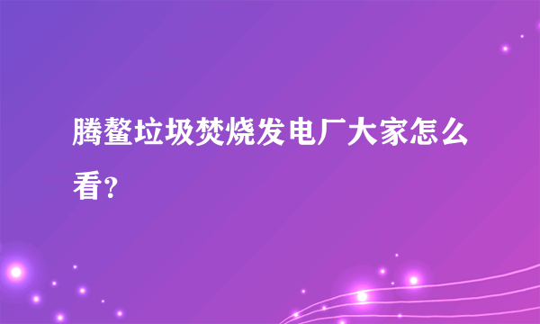 腾鳌垃圾焚烧发电厂大家怎么看？