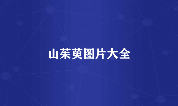 山茱萸图片大全