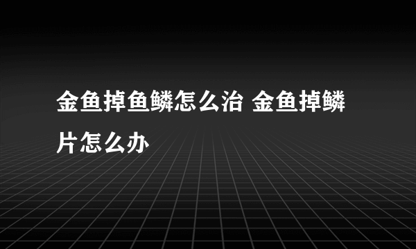 金鱼掉鱼鳞怎么治 金鱼掉鳞片怎么办
