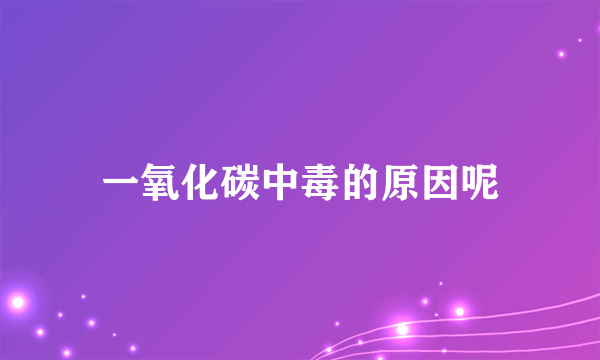一氧化碳中毒的原因呢