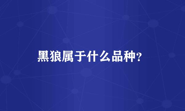黑狼属于什么品种？
