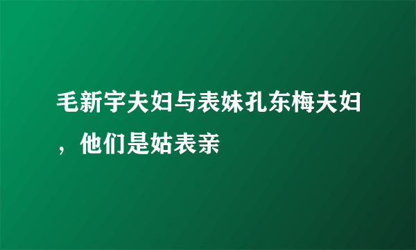 毛新宇夫妇与表妹孔东梅夫妇，他们是姑表亲