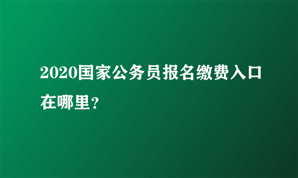 2020国家公务员报名缴费入口在哪里？