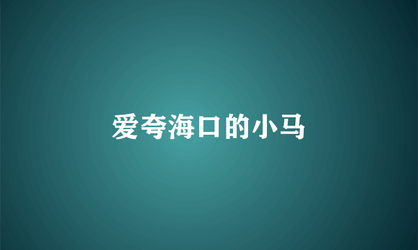 爱夸海口的小马