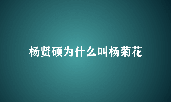 杨贤硕为什么叫杨菊花
