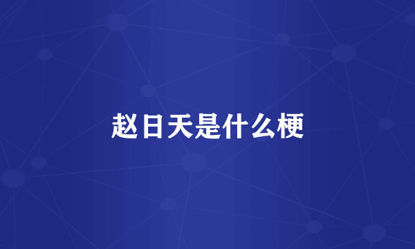 赵日天是什么梗