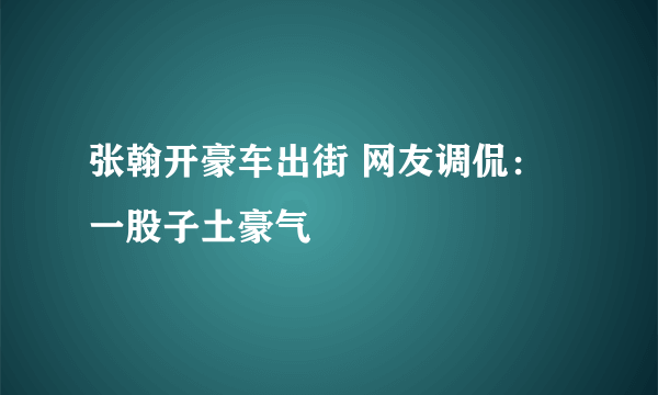 张翰开豪车出街 网友调侃：一股子土豪气