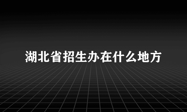 湖北省招生办在什么地方