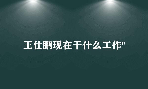 王仕鹏现在干什么工作