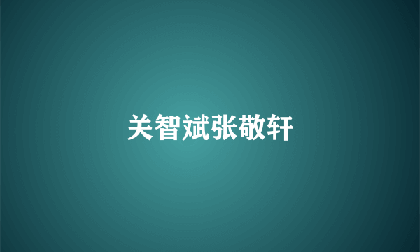 关智斌张敬轩