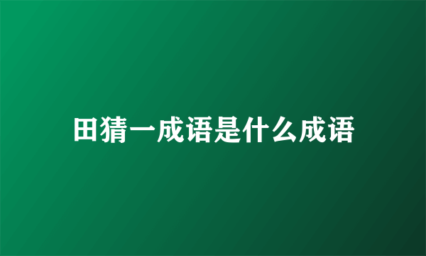 田猜一成语是什么成语