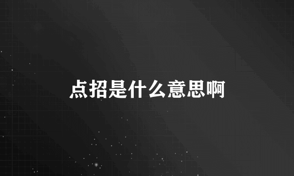 点招是什么意思啊