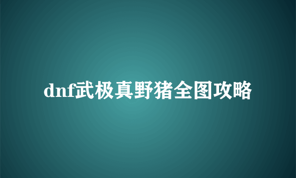 dnf武极真野猪全图攻略