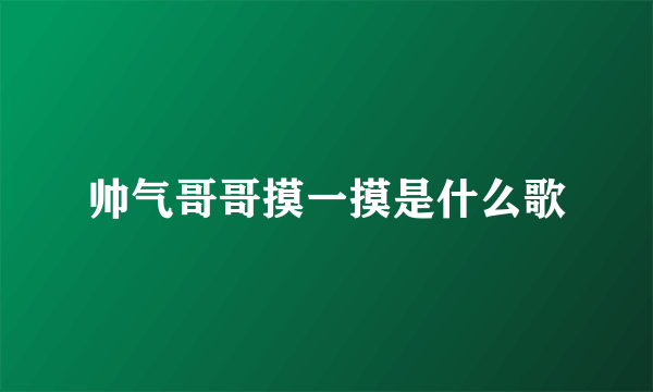 帅气哥哥摸一摸是什么歌