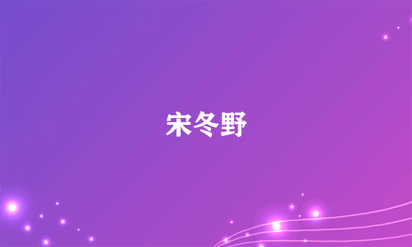 宋冬野