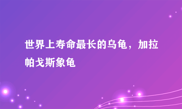 世界上寿命最长的乌龟，加拉帕戈斯象龟