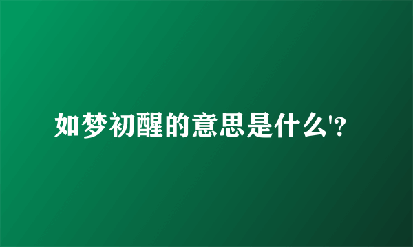 如梦初醒的意思是什么'？