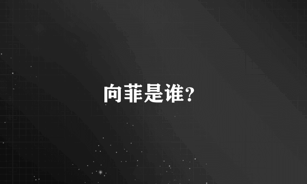 向菲是谁？
