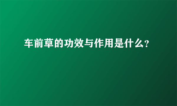 车前草的功效与作用是什么？