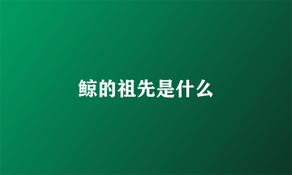 鲸的祖先是什么
