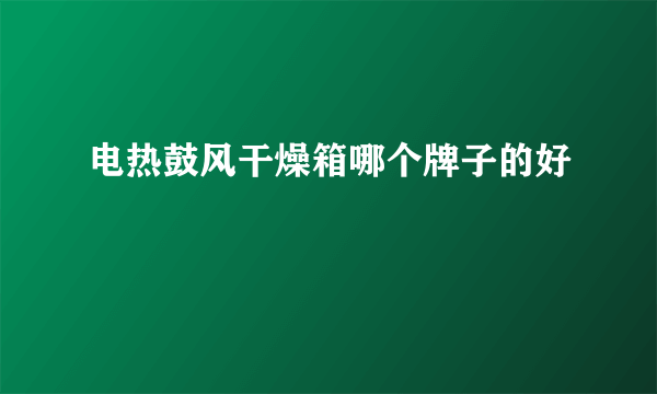 电热鼓风干燥箱哪个牌子的好