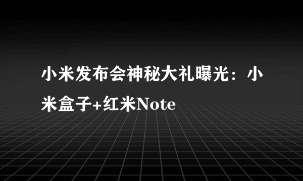 小米发布会神秘大礼曝光：小米盒子+红米Note