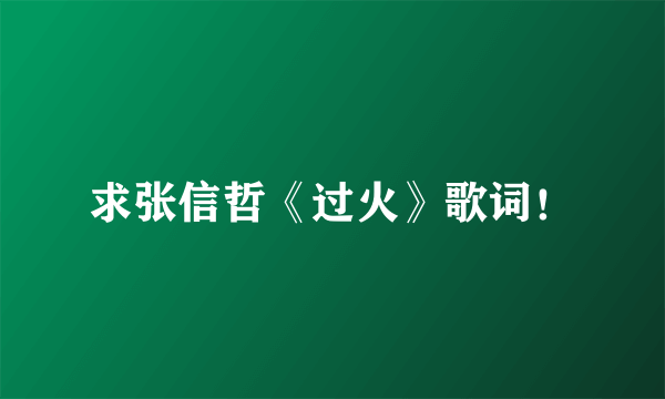 求张信哲《过火》歌词！