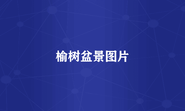榆树盆景图片