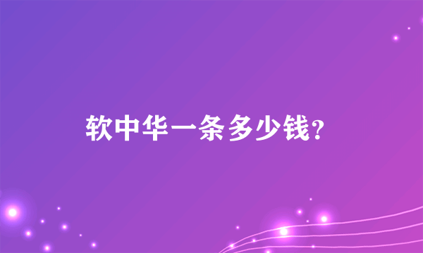 软中华一条多少钱？