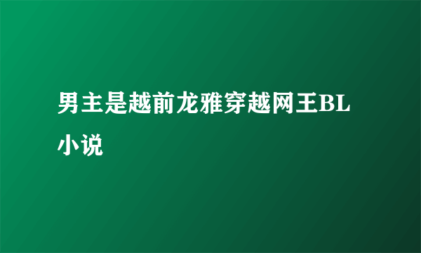男主是越前龙雅穿越网王BL小说