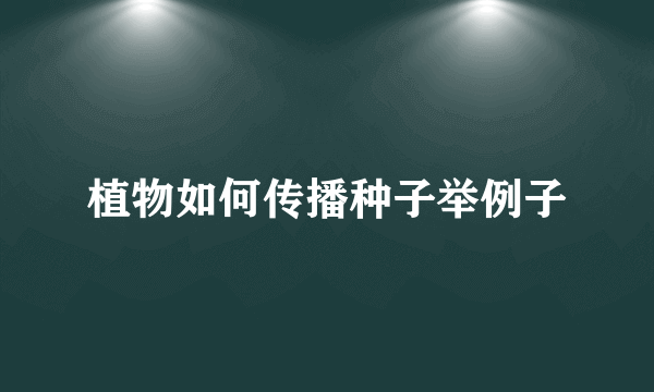 植物如何传播种子举例子