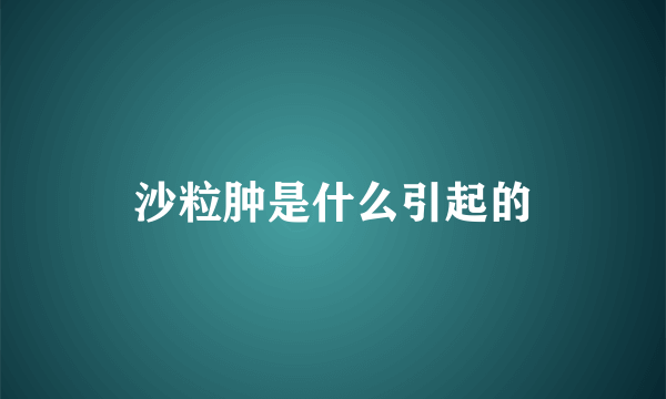 沙粒肿是什么引起的