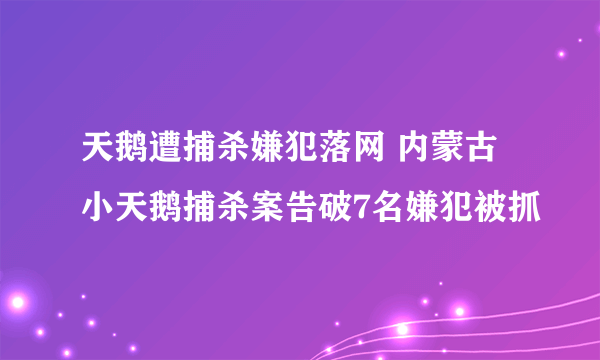 天鹅遭捕杀嫌犯落网 内蒙古小天鹅捕杀案告破7名嫌犯被抓