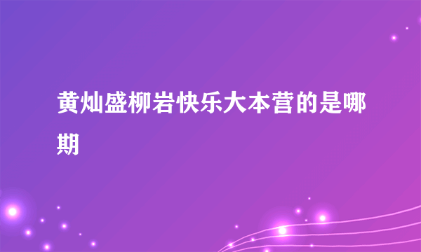 黄灿盛柳岩快乐大本营的是哪期