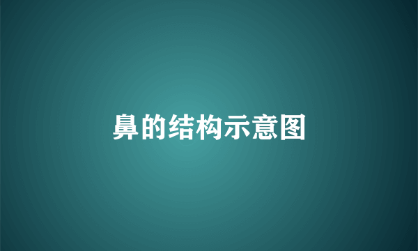 鼻的结构示意图
