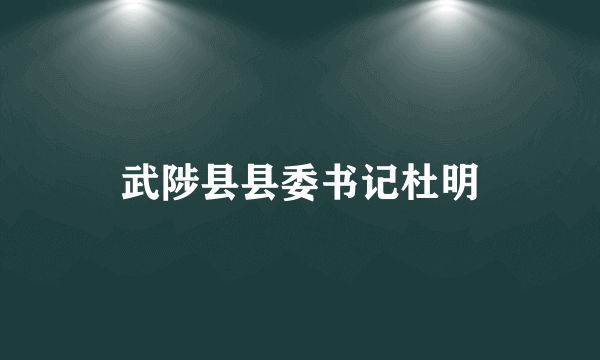 武陟县县委书记杜明