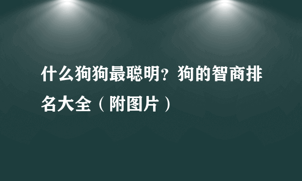 什么狗狗最聪明？狗的智商排名大全（附图片）