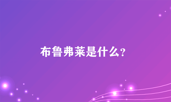 布鲁弗莱是什么？