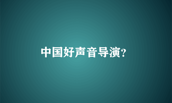 中国好声音导演？
