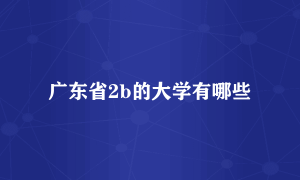 广东省2b的大学有哪些