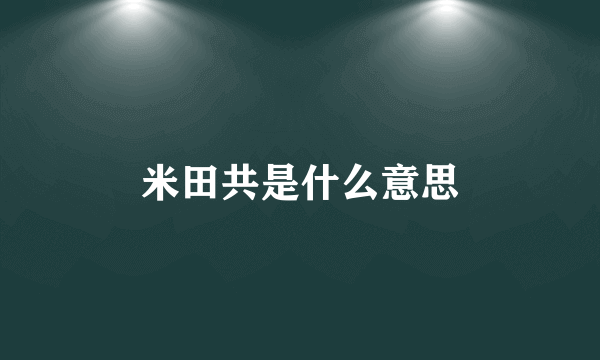 米田共是什么意思