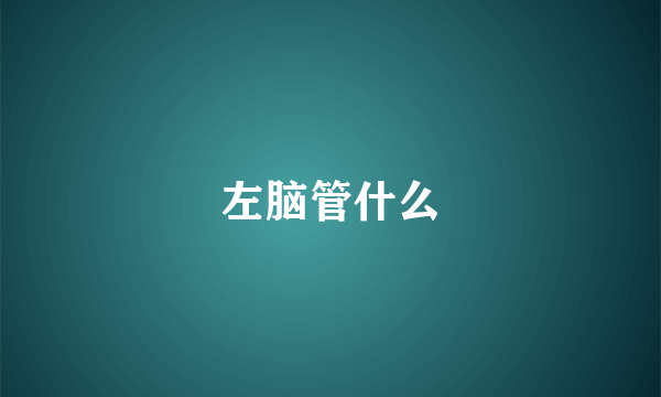 左脑管什么