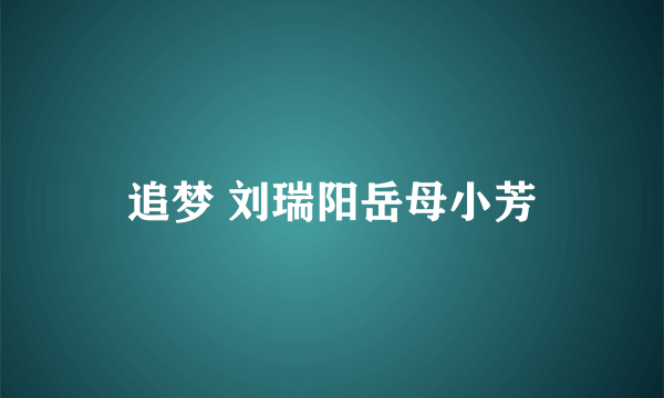 追梦 刘瑞阳岳母小芳