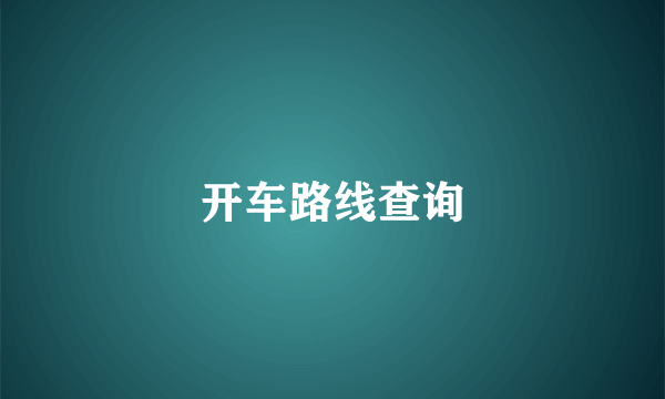 开车路线查询