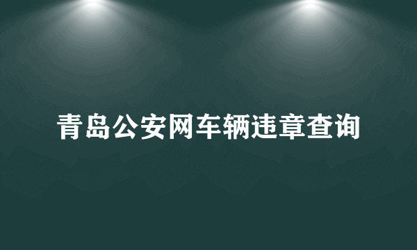 青岛公安网车辆违章查询