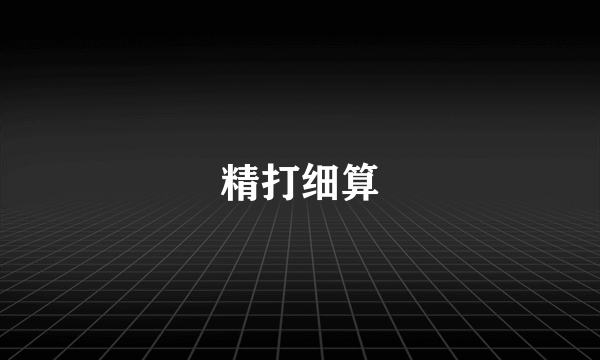 精打细算