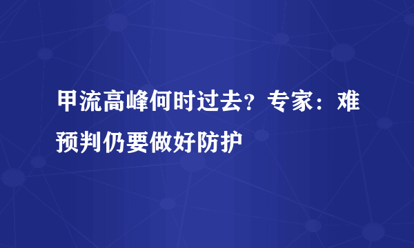 甲流高峰何时过去？专家：难预判仍要做好防护