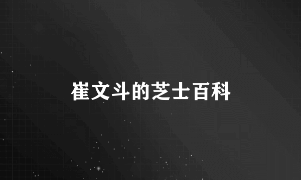 崔文斗的芝士百科