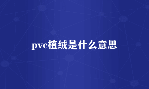 pvc植绒是什么意思