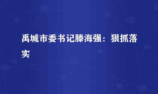 禹城市委书记滕海强：狠抓落实